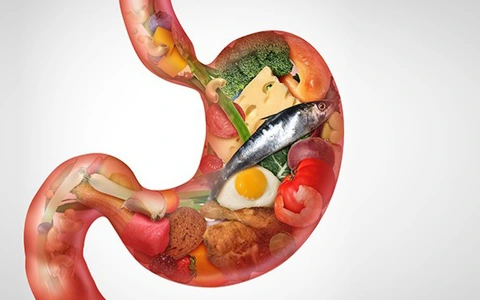 Tiêu hóa